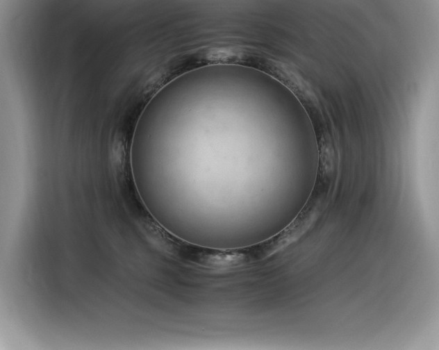 X0000116390375200912021544