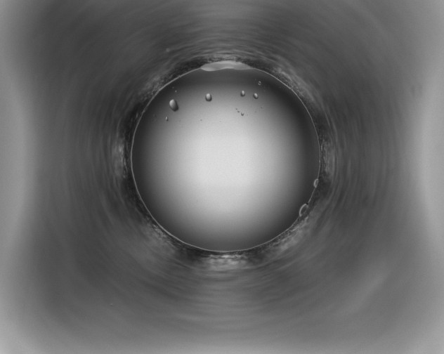 X0000116390378200912021544