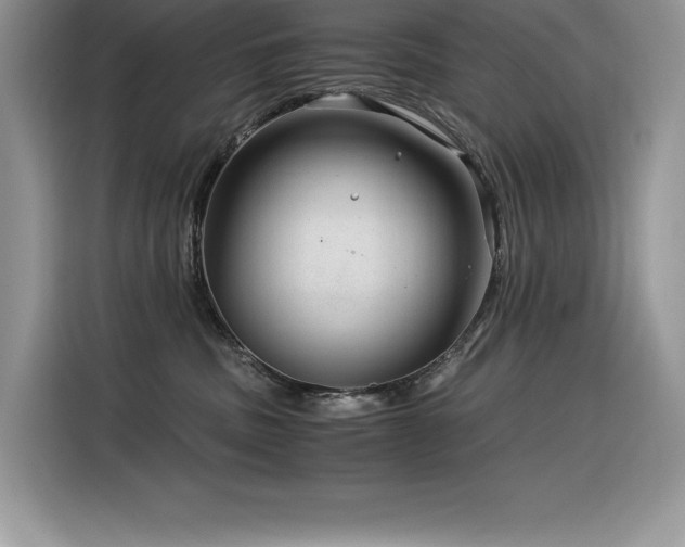 X0000116390379200912021544