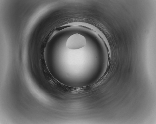 X0000116390382200912021544