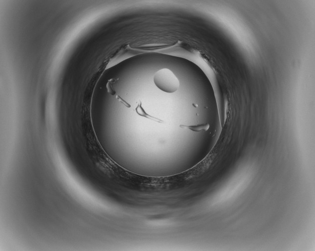 X0000116390383200912021544