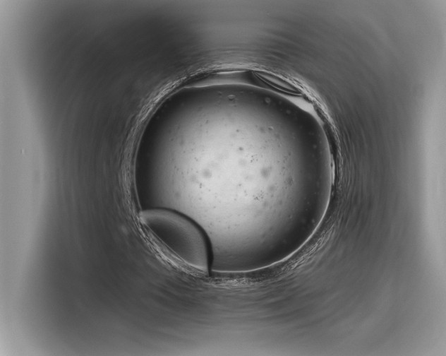X0000116390385200912021544