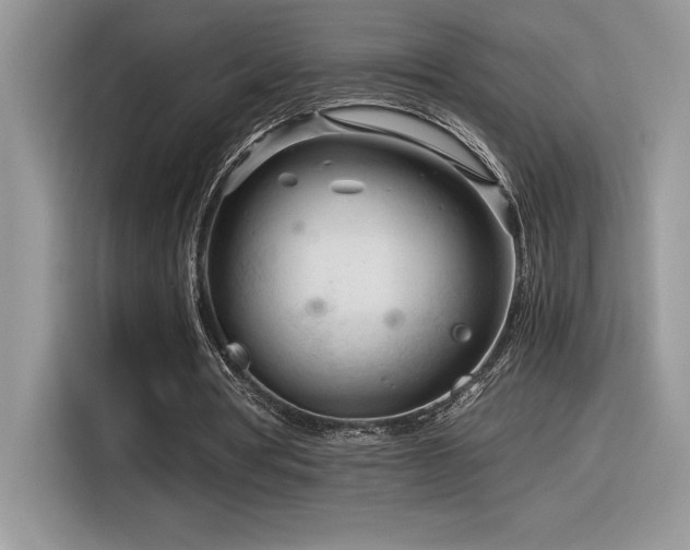 X0000116390386200912021544