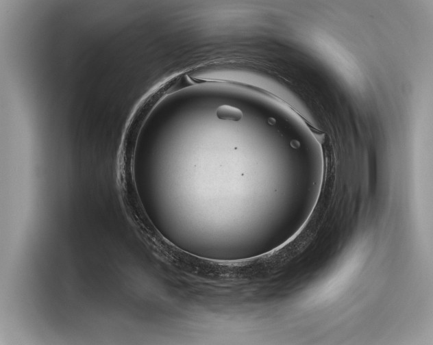 X0000116390388200912021544