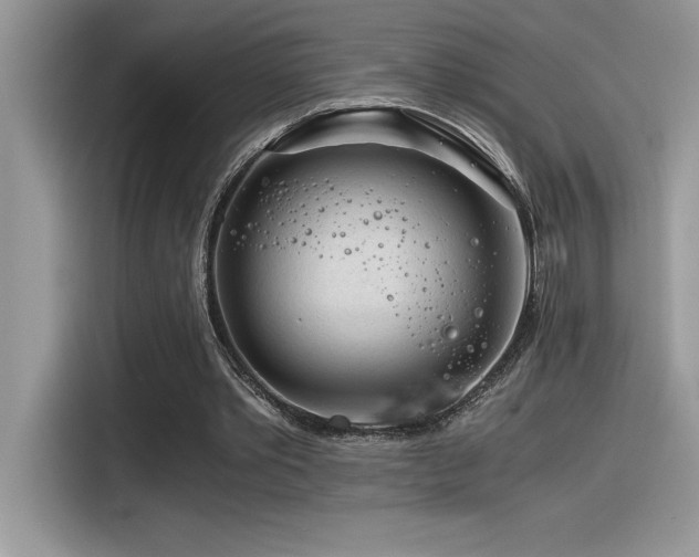 X0000116390389200912021544