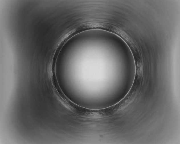 X0000116390390200912021544