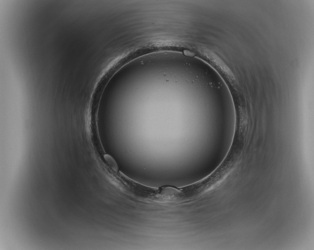 X0000116390391200912021544