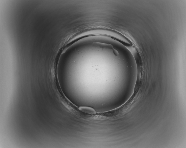 X0000116390393200912021544