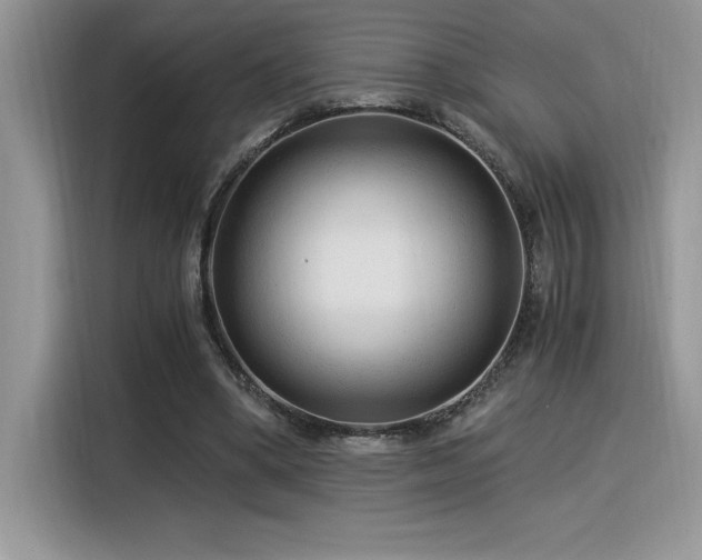 X0000116390394200912021544