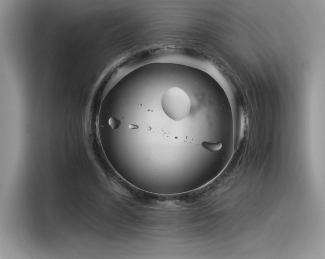 X0000116390396200912021544