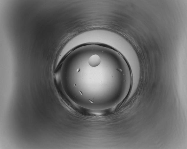 X0000116390397200912021544