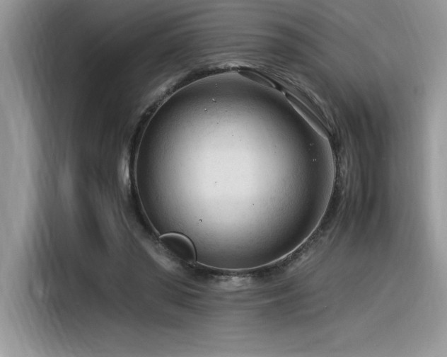 X0000116390398200912021544