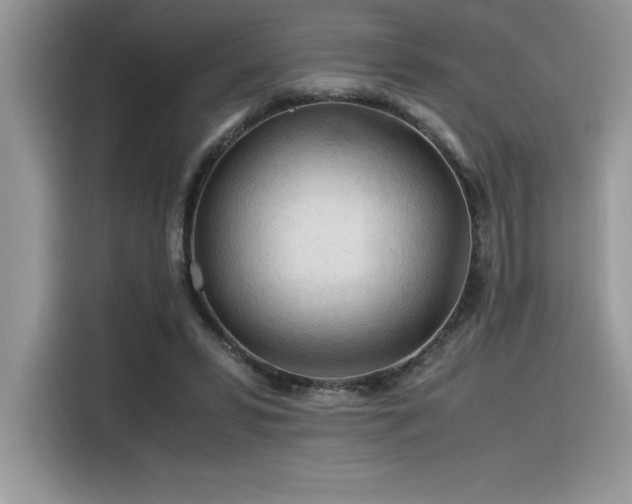 X0000116390399200912021544