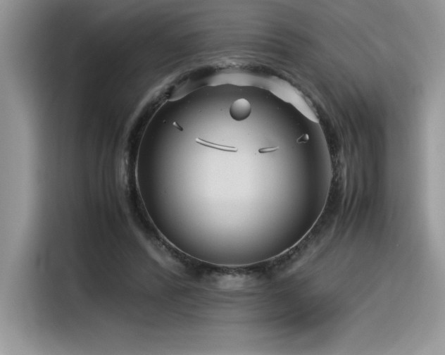X0000116390400200912021544