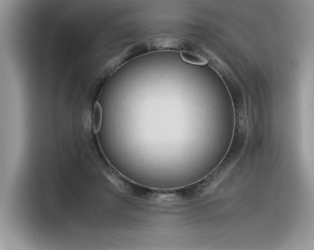 X0000116390401200912021544