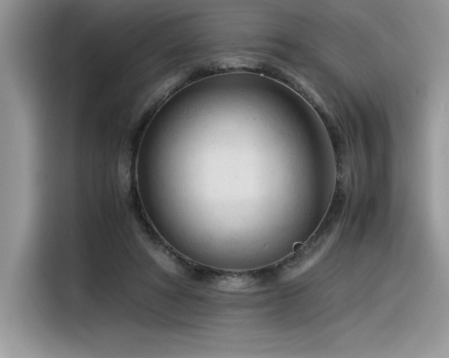 X0000116390402200912021544
