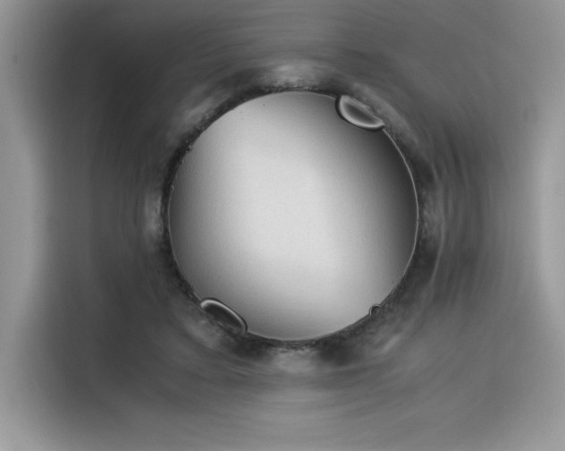 X0000116390403200912021544