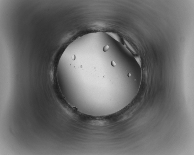 X0000116390404200912021544