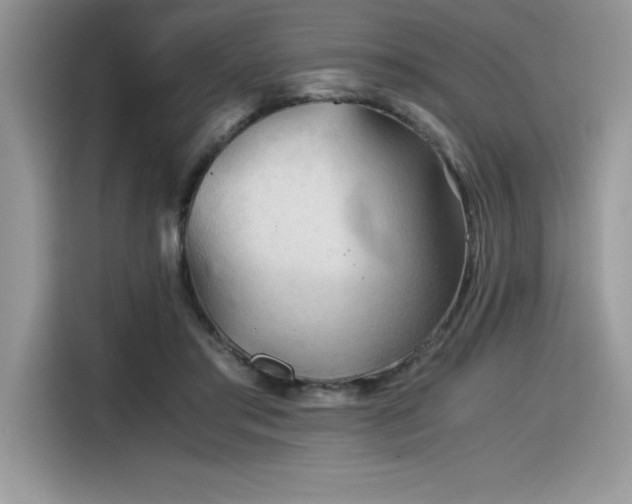 X0000116390405200912021544