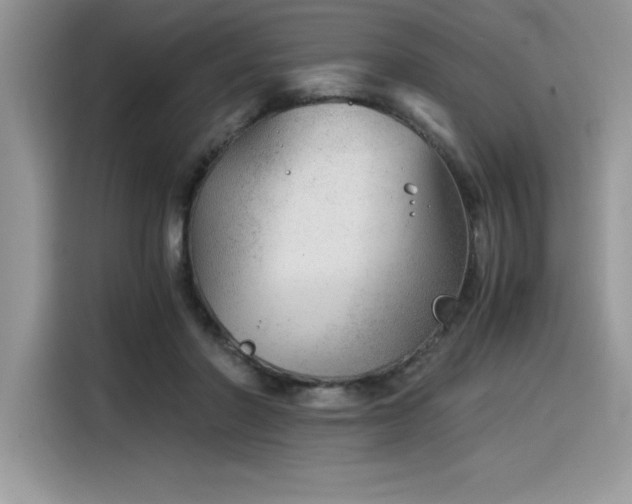 X0000116390406200912021544