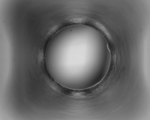 X0000116390407200912021544