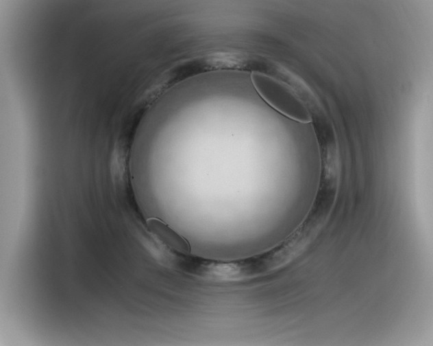 X0000116390409200912021544