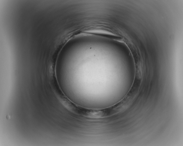 X0000116390410200912021543