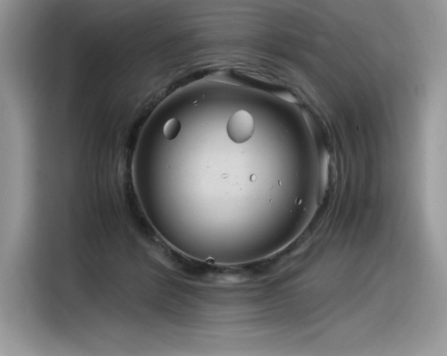 X0000116390412200912021543