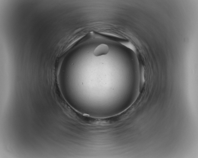 X0000116390413200912021543