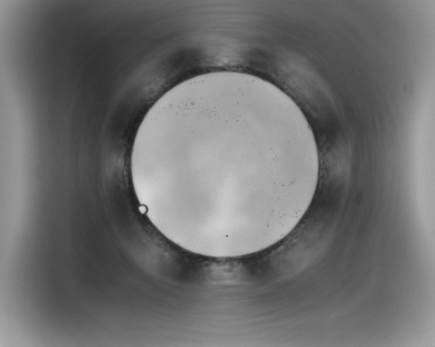 X0000116390415200912021543