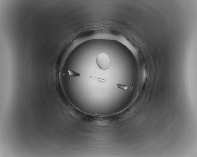 X0000116390416200912021543