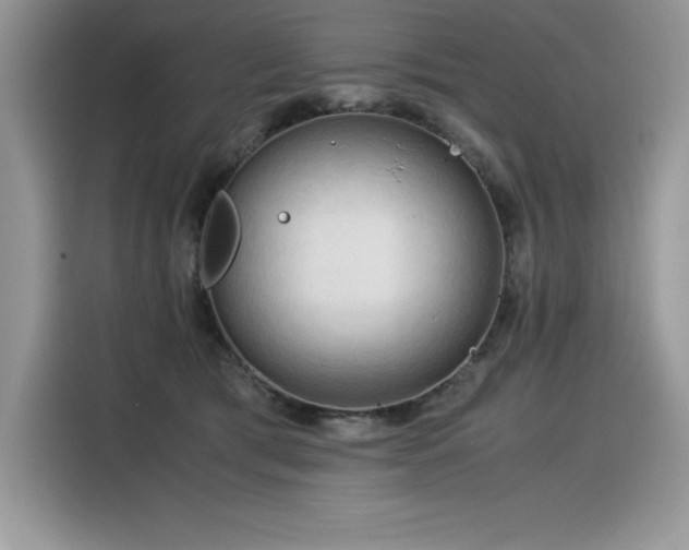 X0000116390417200912021543