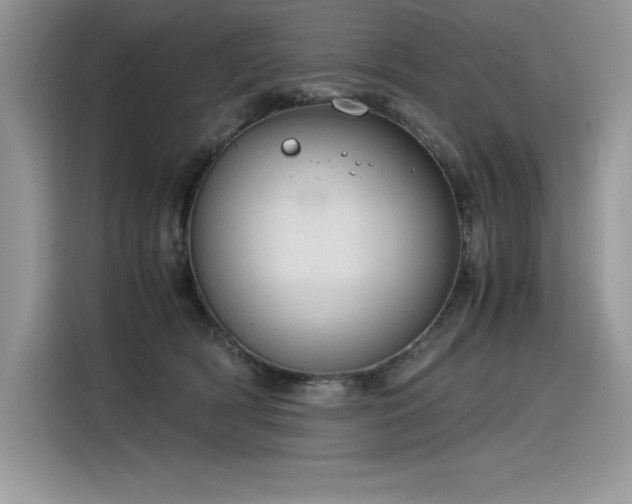 X0000116390418200912021543