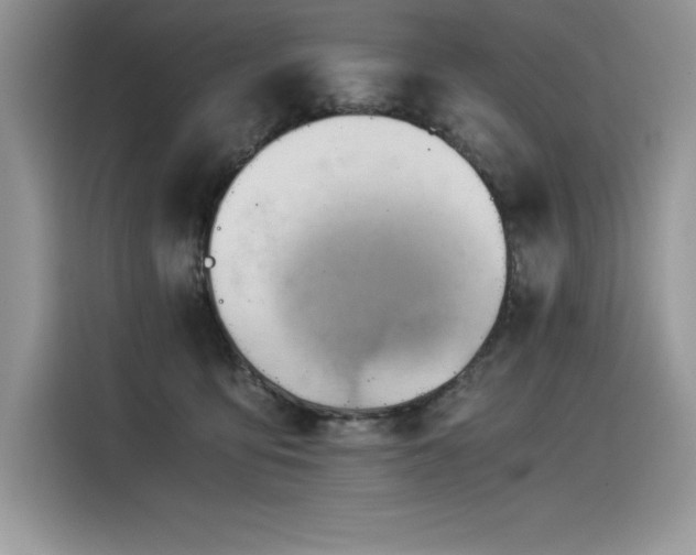 X0000116390419200912021543