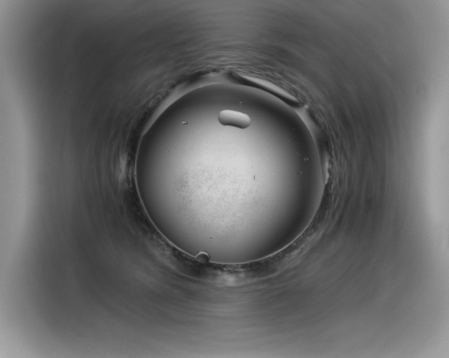 X0000116390420200912021543