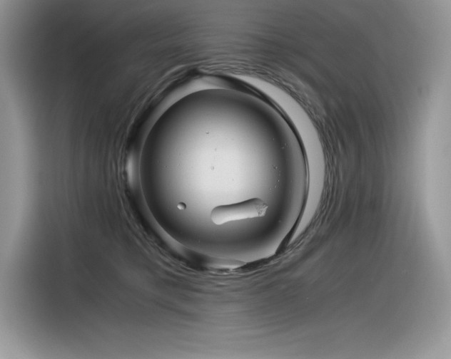 X0000116390421200912021543