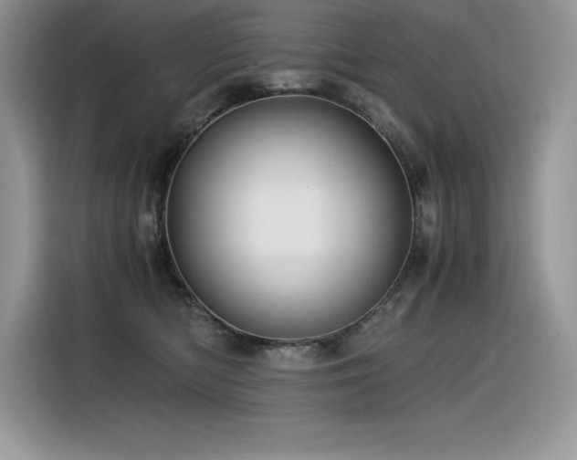 X0000116390422200912021543
