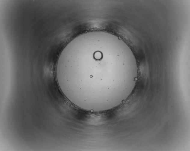 X0000116390423200912021543