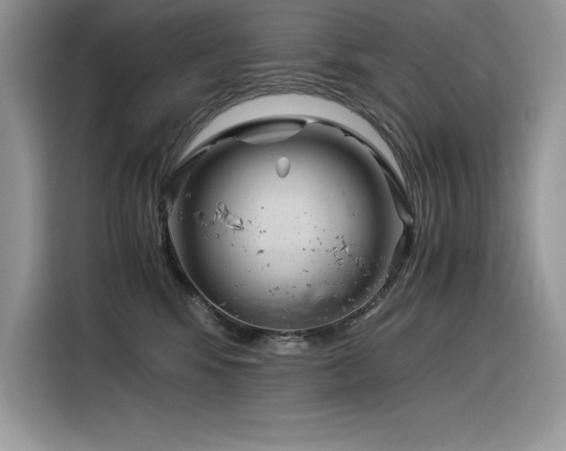 X0000116390424200912021543