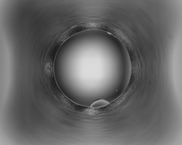 X0000116390425200912021543
