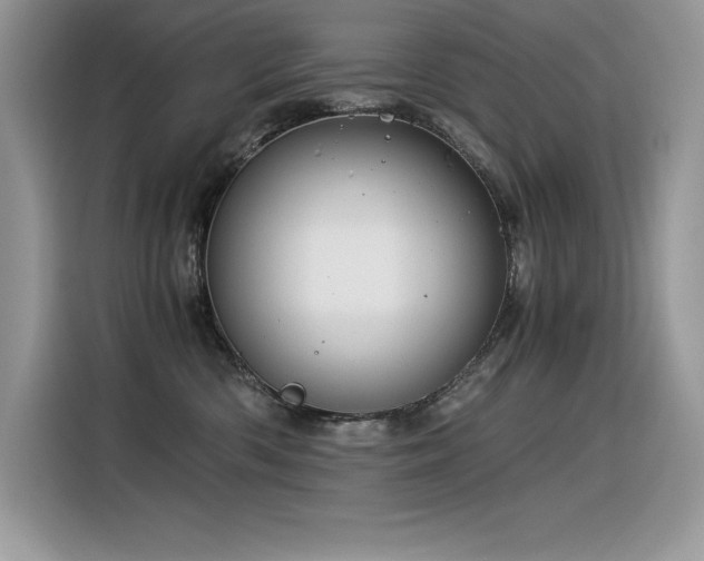 X0000116390426200912021543