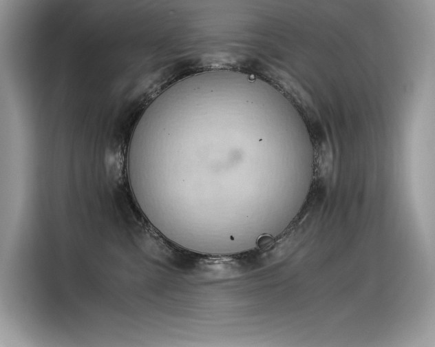 X0000116390427200912021543