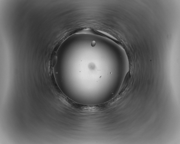 X0000116390428200912021543
