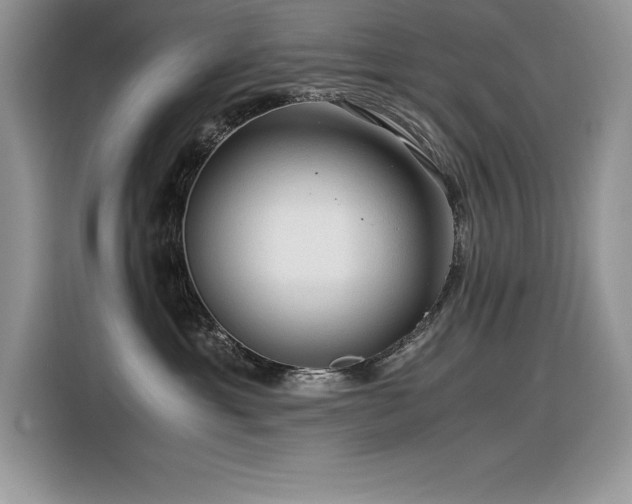 X0000116390429200912021543