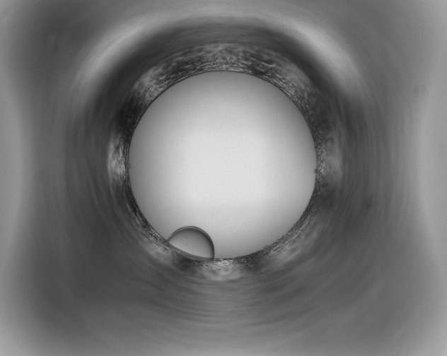 X0000116390431200912021543
