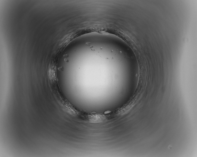 X0000116390432200912021543