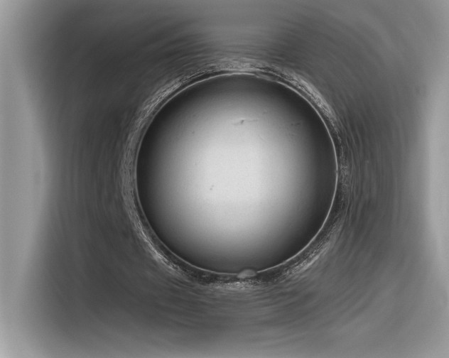 X0000116390433200912021543