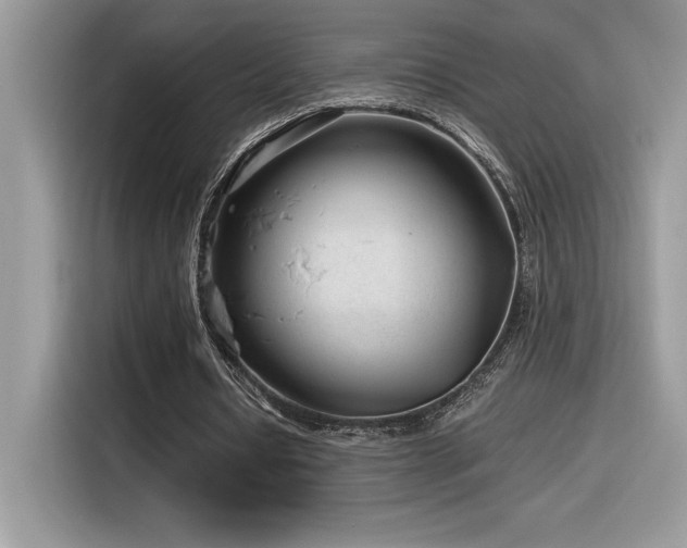 X0000116390434200912021543