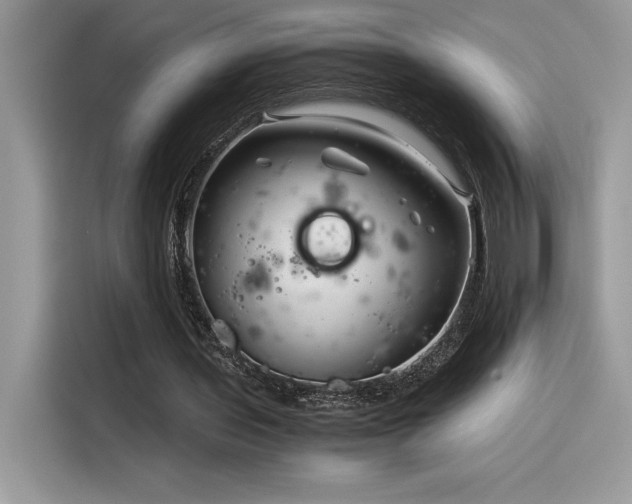 X0000116390435200912021543