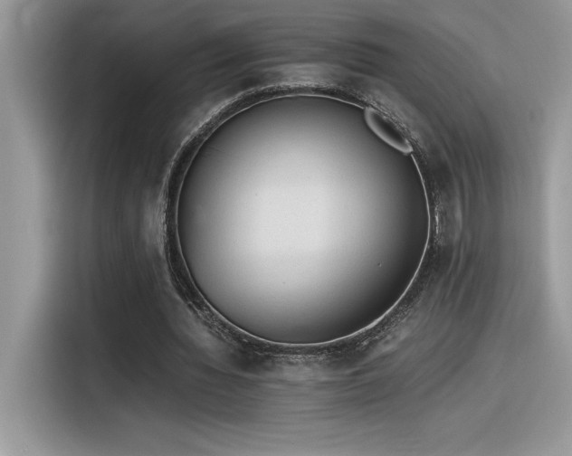 X0000116390436200912021543